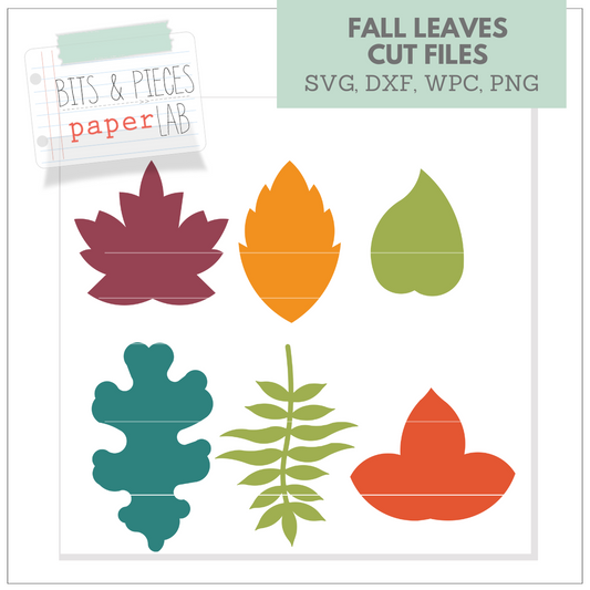 FALL LEAVES SVG SET for Cricut