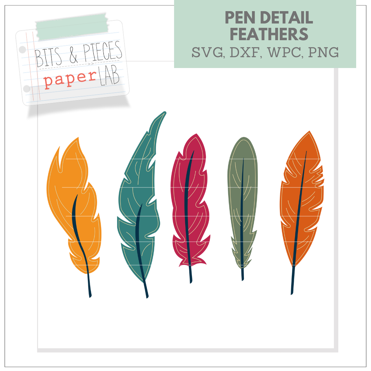 Pen Detail Feather SVG Set